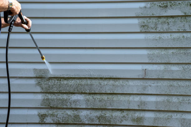 Trusted Olivet, MI Junk Removal Experts