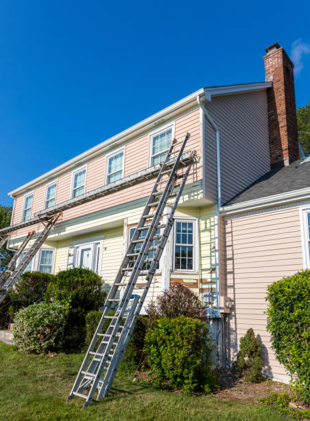 Best Hoarding Cleanup  in Olivet, MI